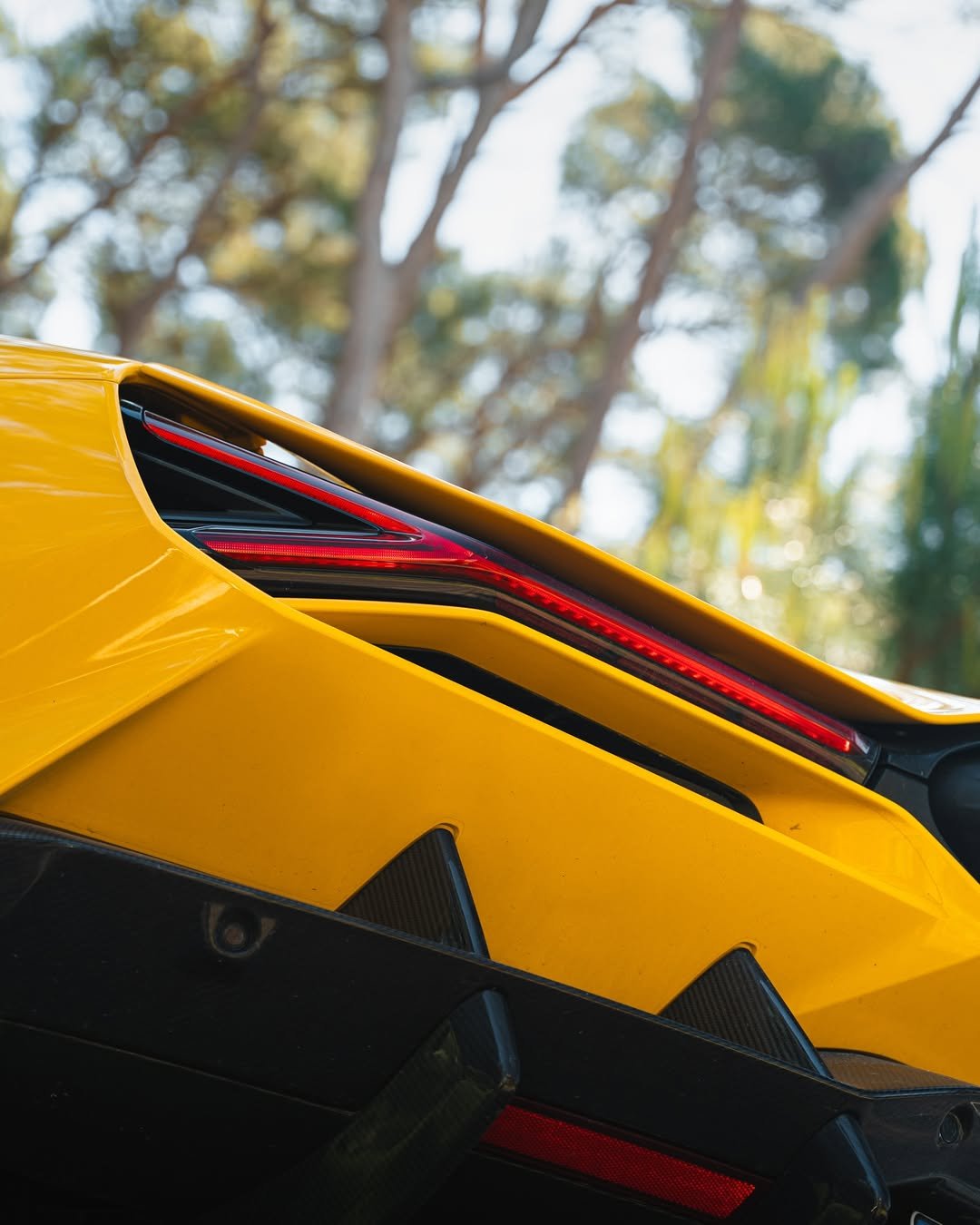 Lamborghini Revuelto — photo 7